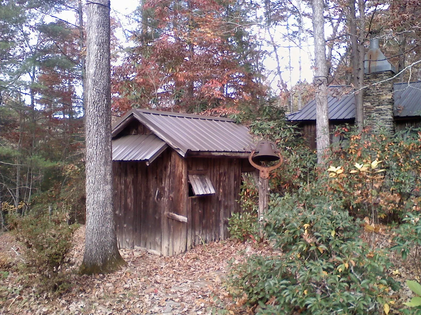 Small metal roof on a rough sawn shed in the woods in Fayetteville